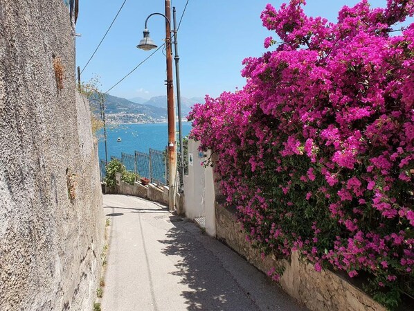 Property grounds - Three Bedroom Villa amalfi coast (Cetara)