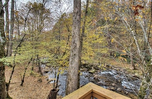 Área arborizada com um riacho e um deck de madeira.