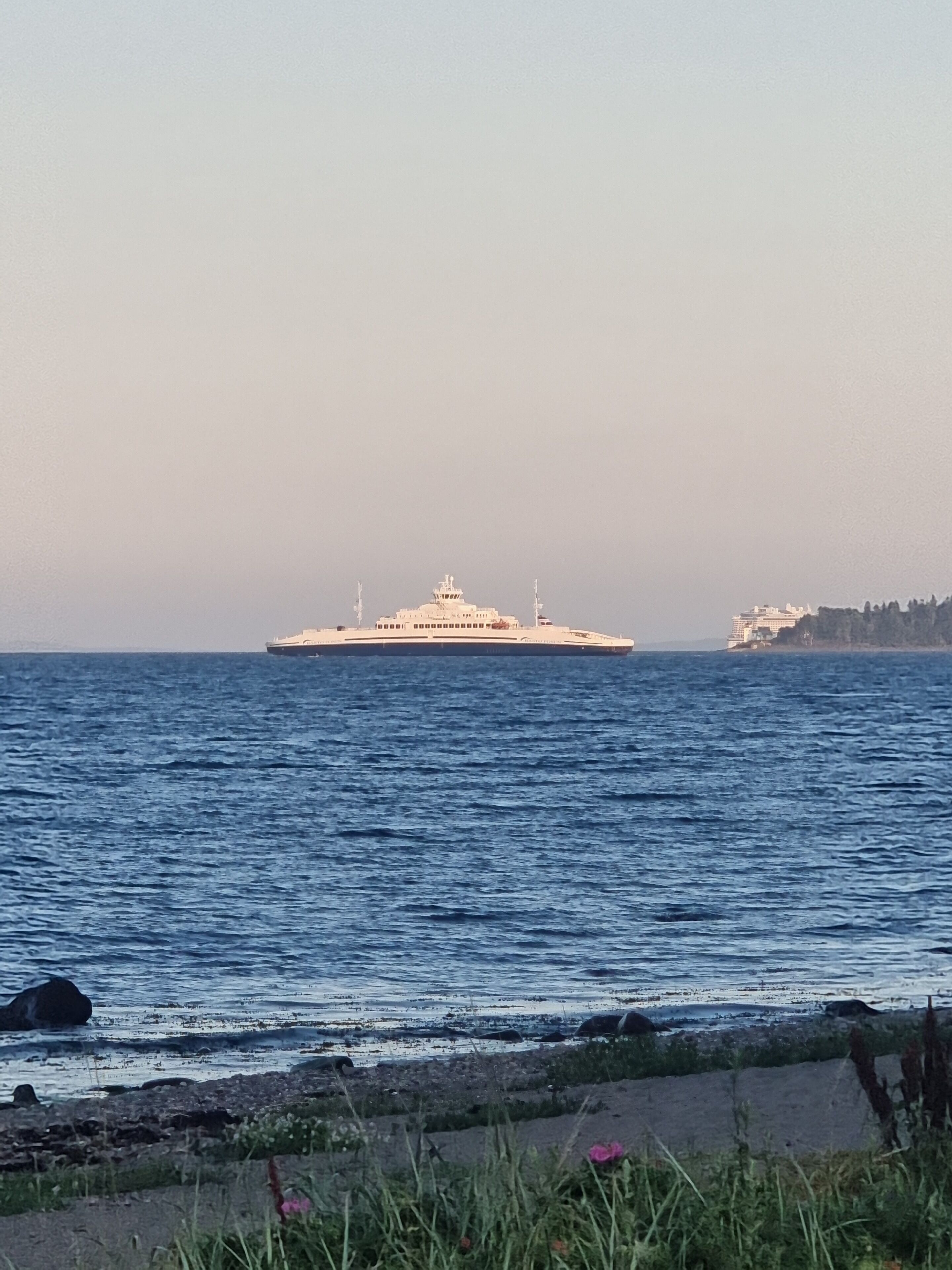 A large cruise ship on calm waters with a rocky shoreline in the foreground.