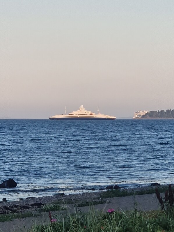 A large cruise ship on calm waters with a rocky shoreline in the foreground. - Hotel Karljohansvern, Sjømilitære Samfund (Horten)