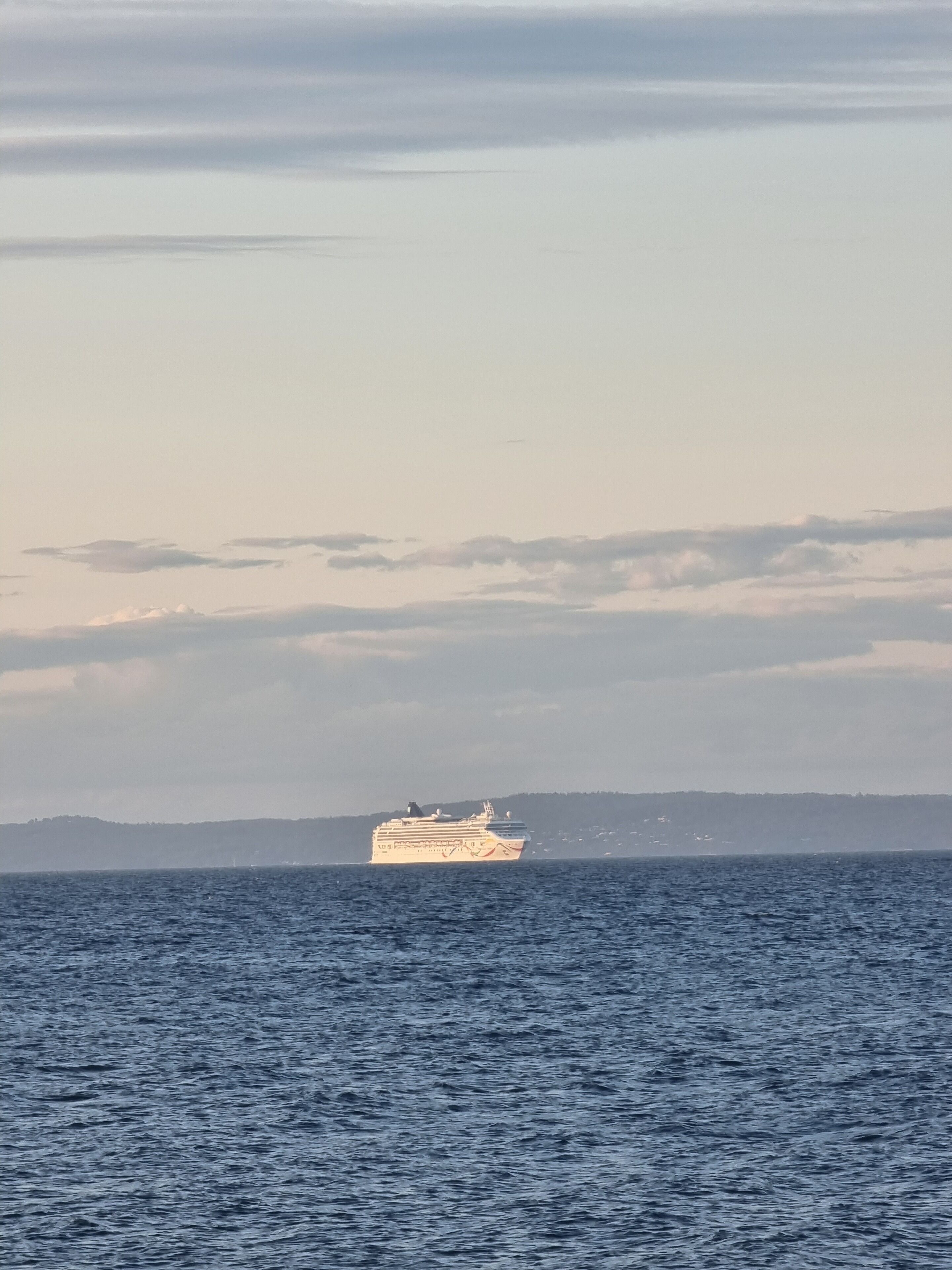 A cruise ship on a calm sea with a distant shoreline and overcast sky.