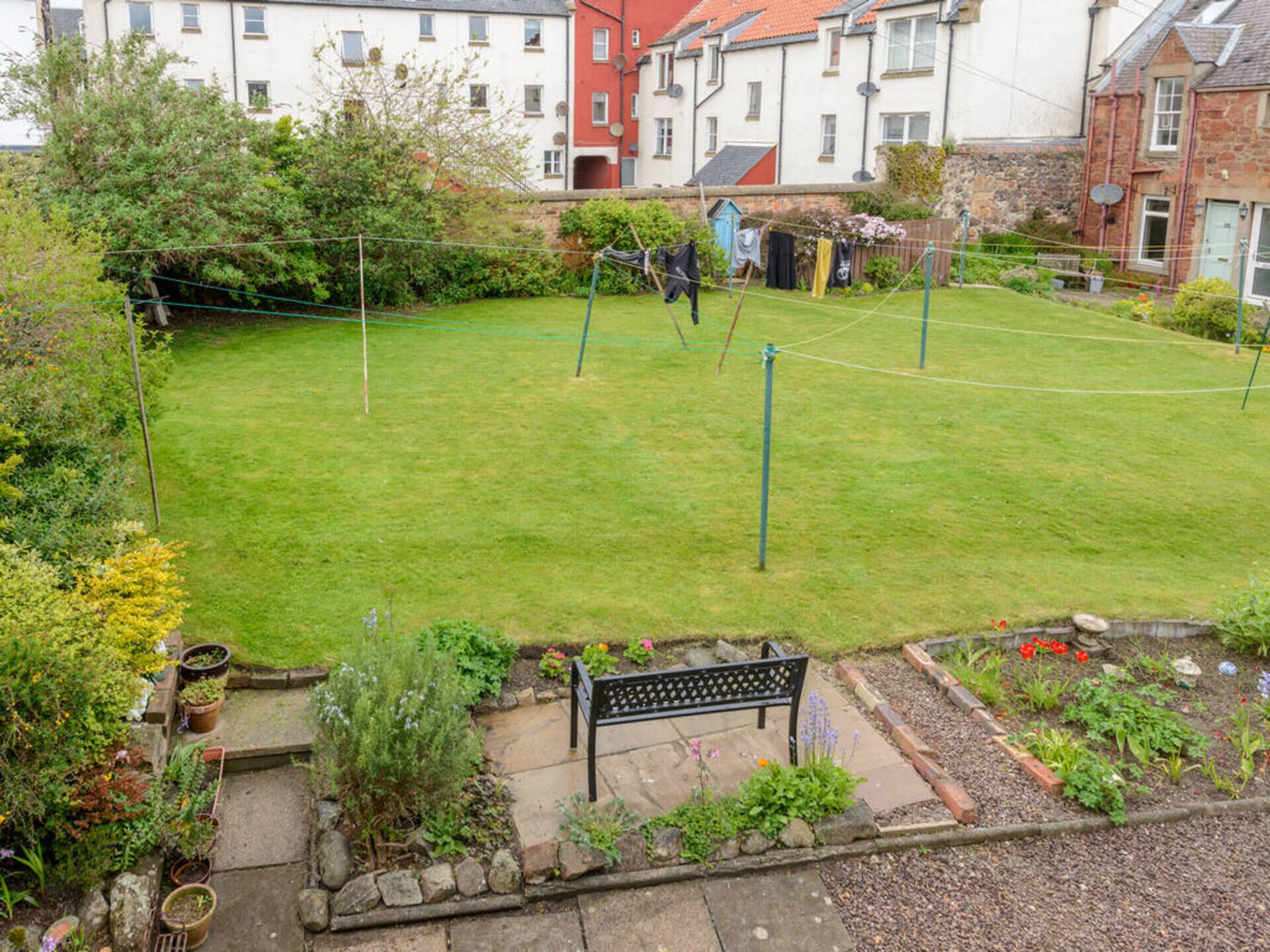 A residential garden with a lawn, a bench, and a variety of plants.