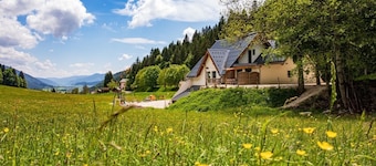Gîte-Standard-Ensuite mit Dusche-Bergblick-Gîte 11 personnes