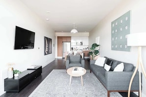 TV - New Spacious Modern Loft | Center of LoHi (Denver)