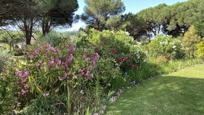 A garden with various plants and trees, a grassy area, and a clear sky. - Villa + Studio SUR LE Golf (Saint-Raphaël)