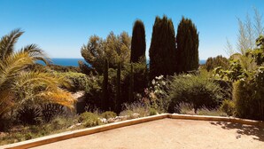 Un jardín con un sendero de tierra, rodeado de diversas plantas y árboles, que conduce a un edificio con techo de tejas.