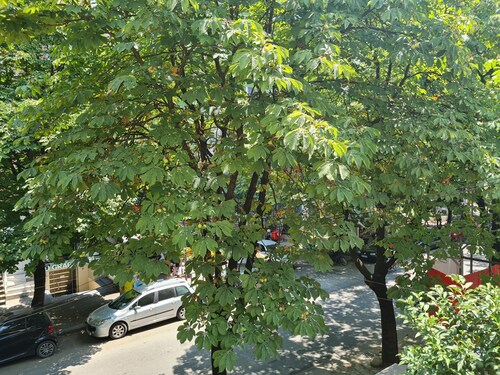 Artistic Tirana Blloku