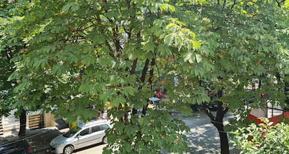 Artistic Tirana Blloku