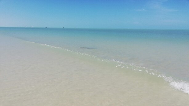 A beach with clear water and a visible shoreline. - Loft " El Mestizo" (Celestún)