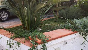 A large plant in a planter box on a sidewalk. - Organic breakfast in the garden, Vesuvius view (Castellammare di Stabia)