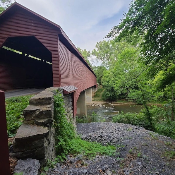 Property grounds - Serenity at The Shamrock (Mount Jackson)