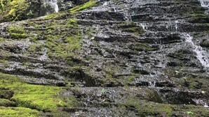 A person standing on a moss-covered rock formation with a waterfall in the background. - Cozy, Seasonal Geo-Dome with Heat/AC on Private Hiking paradise in Gunks. (Wallkill)