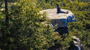 A person sitting on a rock surrounded by dense forest. - Cozy, Seasonal Geo-Dome with Heat/AC on Private Hiking paradise in Gunks. (Wallkill)