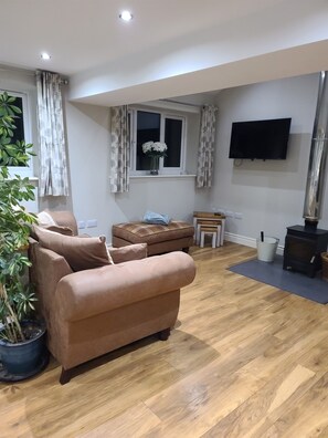 A living room with a sofa, a TV, a window with curtains, a fireplace, and a potted plant. - Casita Lodge | Hot tub Stay for two in the Forest of Dean (Cinderford)