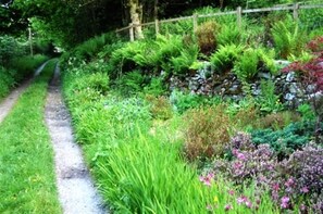 A narrow gravel path flanked by lush greenery and a stone wall.