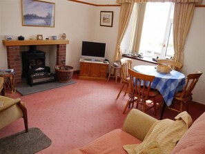 TV, fireplace, DVD player