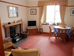 TV, fireplace, DVD player - Branta Cottage - a cottage that sleeps 4 guests in 2 bedrooms (Dumfries)