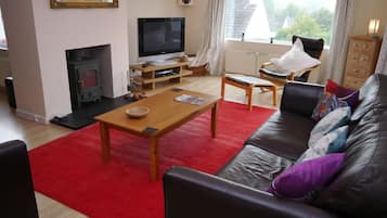 Fernseher, Kamin, DVD-Player