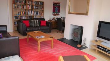 TV, fireplace, DVD player