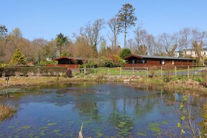 A lakeside cabin with a dock, surrounded by trees and a clear sky.