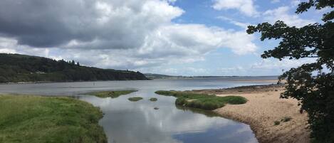 A river meandering through a natural landscape with a sandy beach and grassy areas.