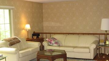 TV, fireplace, DVD player, books