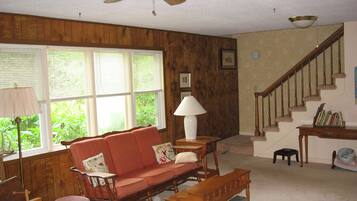 TV, fireplace, DVD player, books