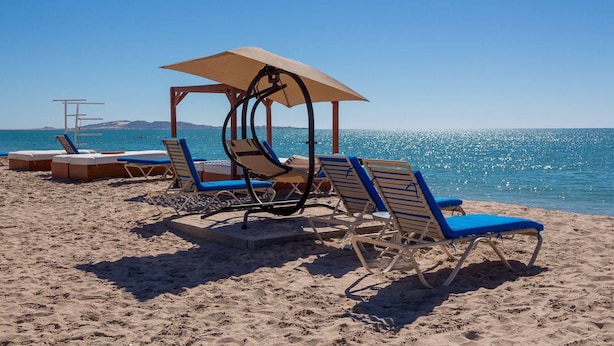 A beach with sun loungers and umbrellas, a clear sky, and a calm sea. - Shell Yeah! 🐚 🏝 Paradise 🦀 (Son)