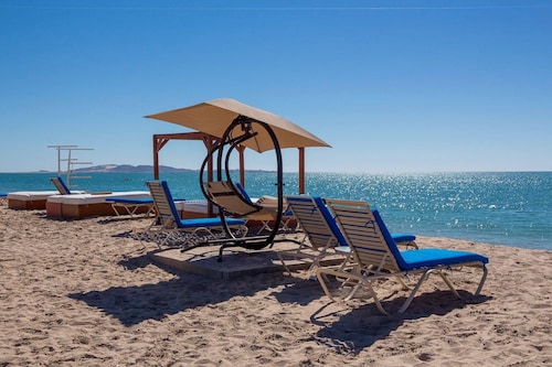 Shell Yeah! 🐚 🏝 Paradise 🦀