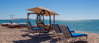 Shell Yeah! 🐚 🏝 Paradise 🦀