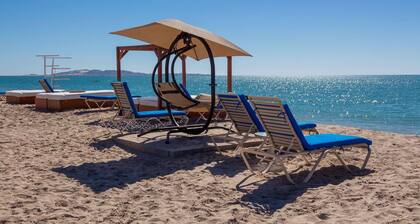 Shell Yeah! 🐚 🏝 Paradise 🦀