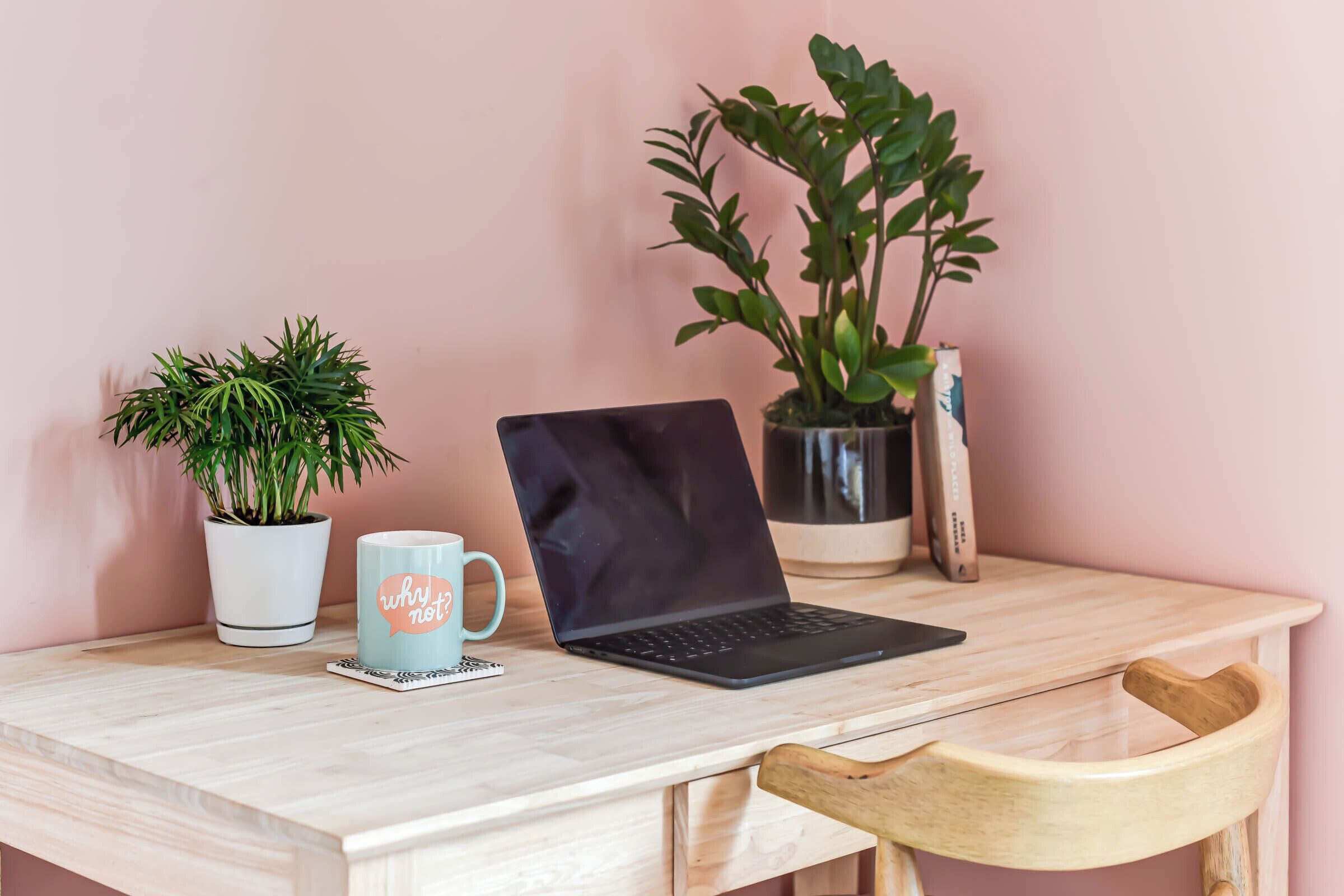 Een houten bureau met een laptop, een mok en twee potplanten.