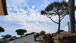 Un balcon donnant sur un quartier résidentiel, avec vue sur un arbre et un ciel dégagé.