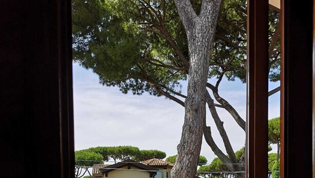 Une porte ouverte donne sur un espace extérieur dallé, avec un arbre et un bâtiment en arrière-plan.