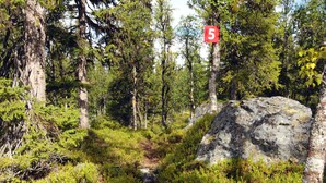 A forested area with a red sign indicating a trail or path. - Mountain cabin Ull Oviksfjällen, 4 people (Svenstavik)