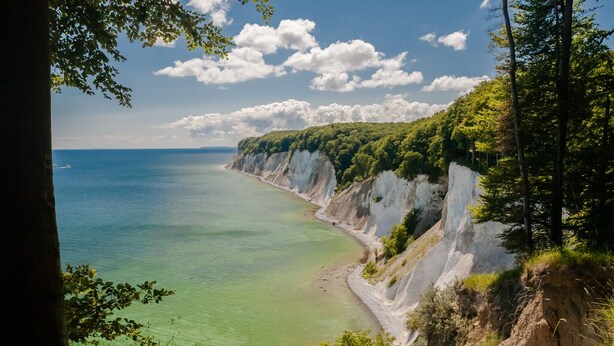 A coastal landscape with cliffs and a beach. - Exclusive vacation apartment, Residence Margarete, close to the beach, underground parking, sauna (Binz)