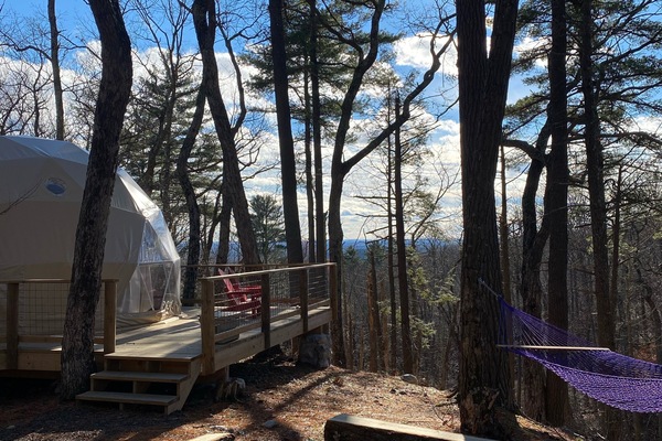 Geo-dome nestled in the pines along a ravine with large firepit