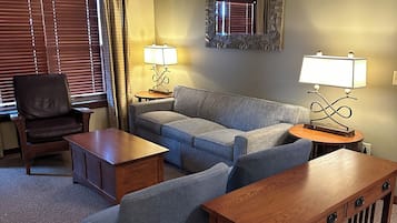 Télévision, cheminée, lecteur de DVD