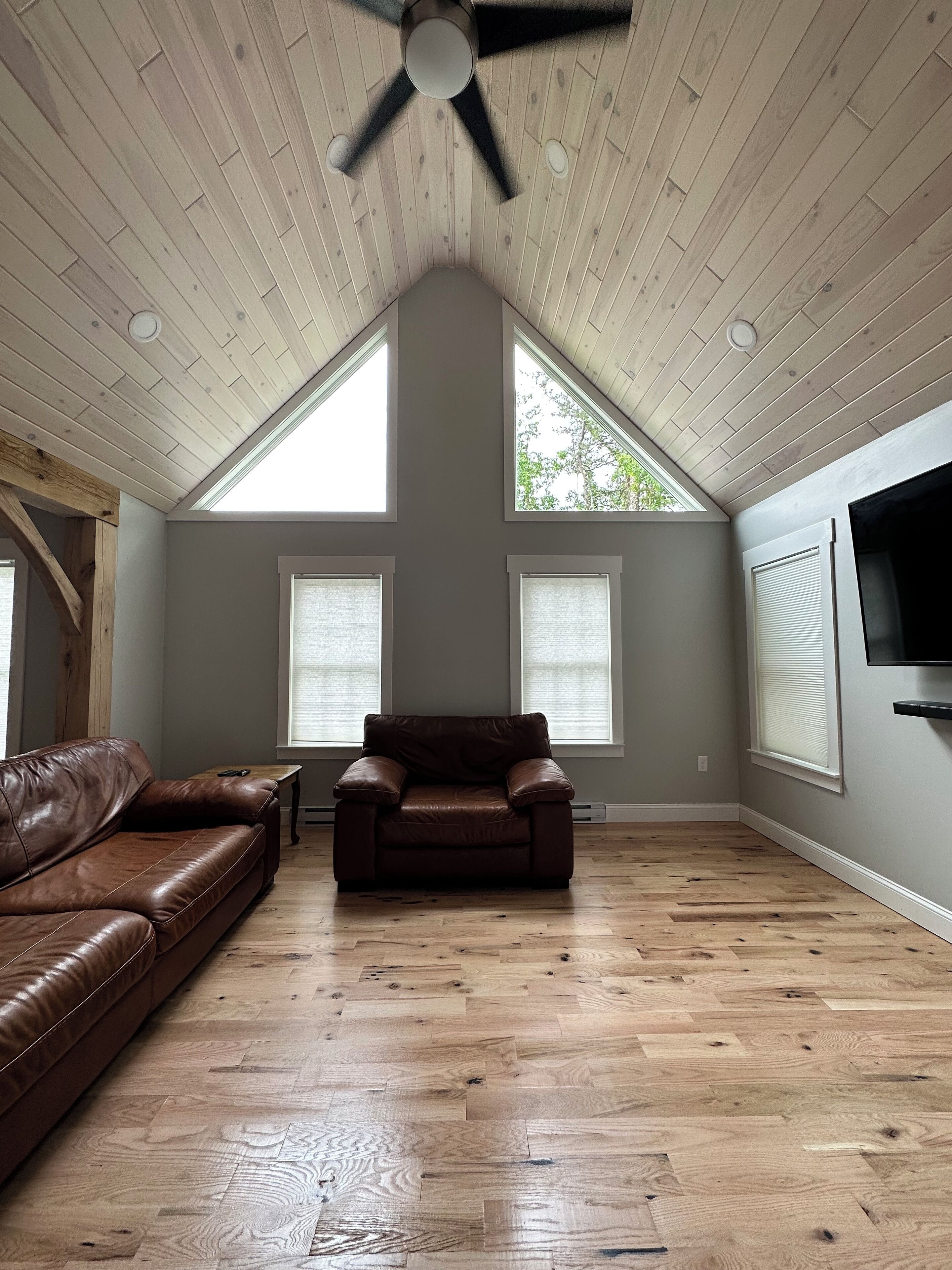 Smart TV, video games, books