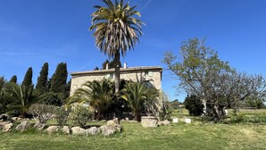A stone building with a flat roof, surrounded by a grassy area with palm trees and other vegetation. - Paul à 12 km de la mer (ROQUEBRUNE SUR ARGENS)
