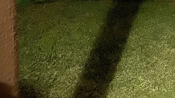 Uklassifisert bilde, 1 av 3, knapp