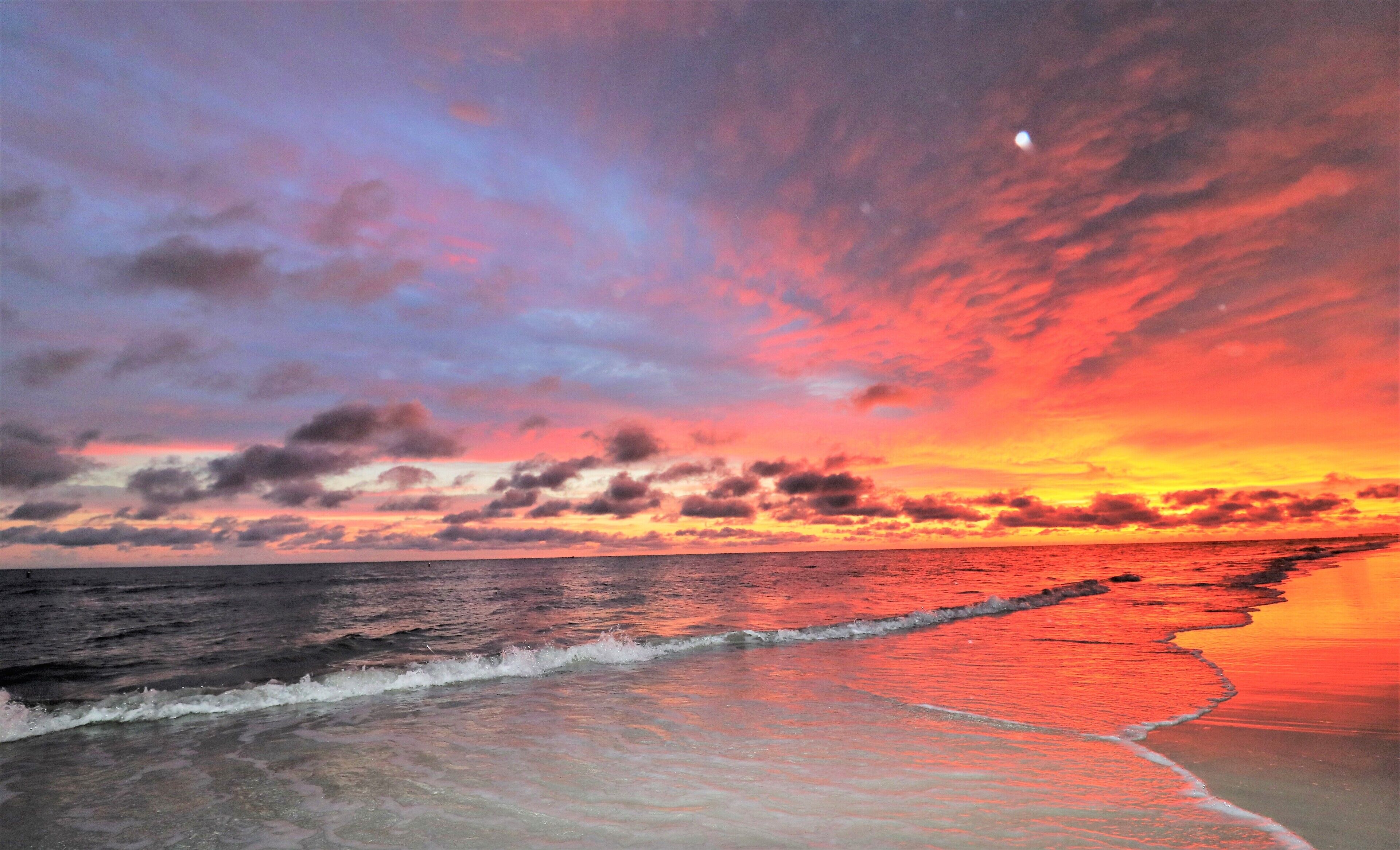 Beachfront, Anna Maria Island/Coquina Beach, Condo
