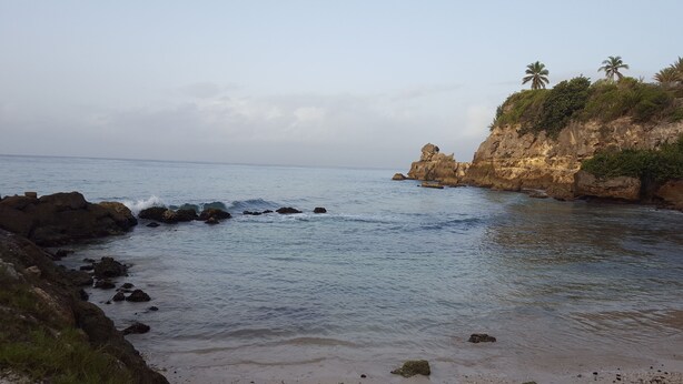 Un paisaje costero con afloramientos rocosos, mar tranquilo y palmeras.