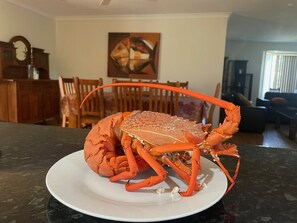 Interior - Large fam home, ideal for entertaining, & pets, close to beach, parks and nature (Maloneys Beach)