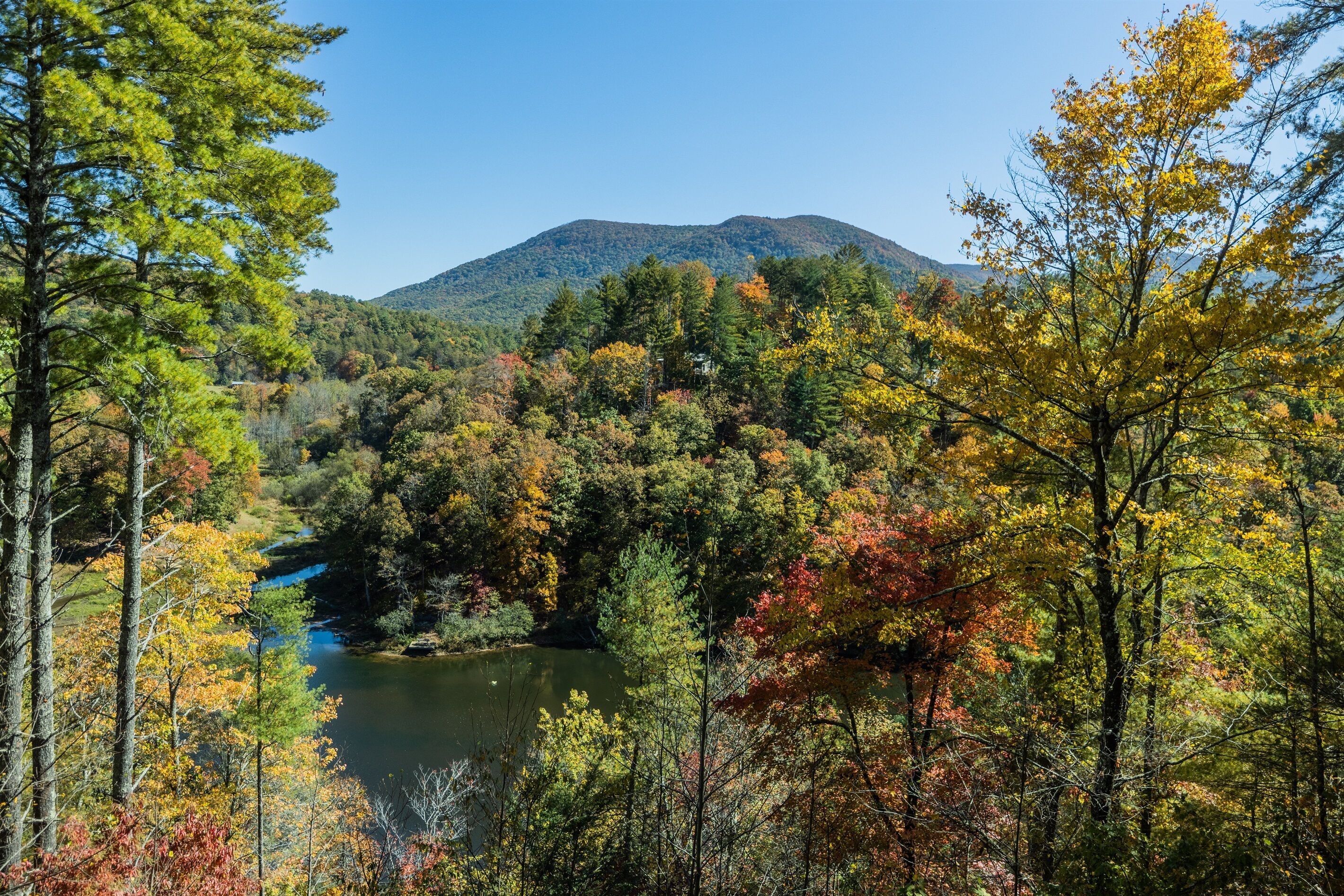 Une zone boisée, avec une montagne en arrière-plan et une rivière au premier plan.