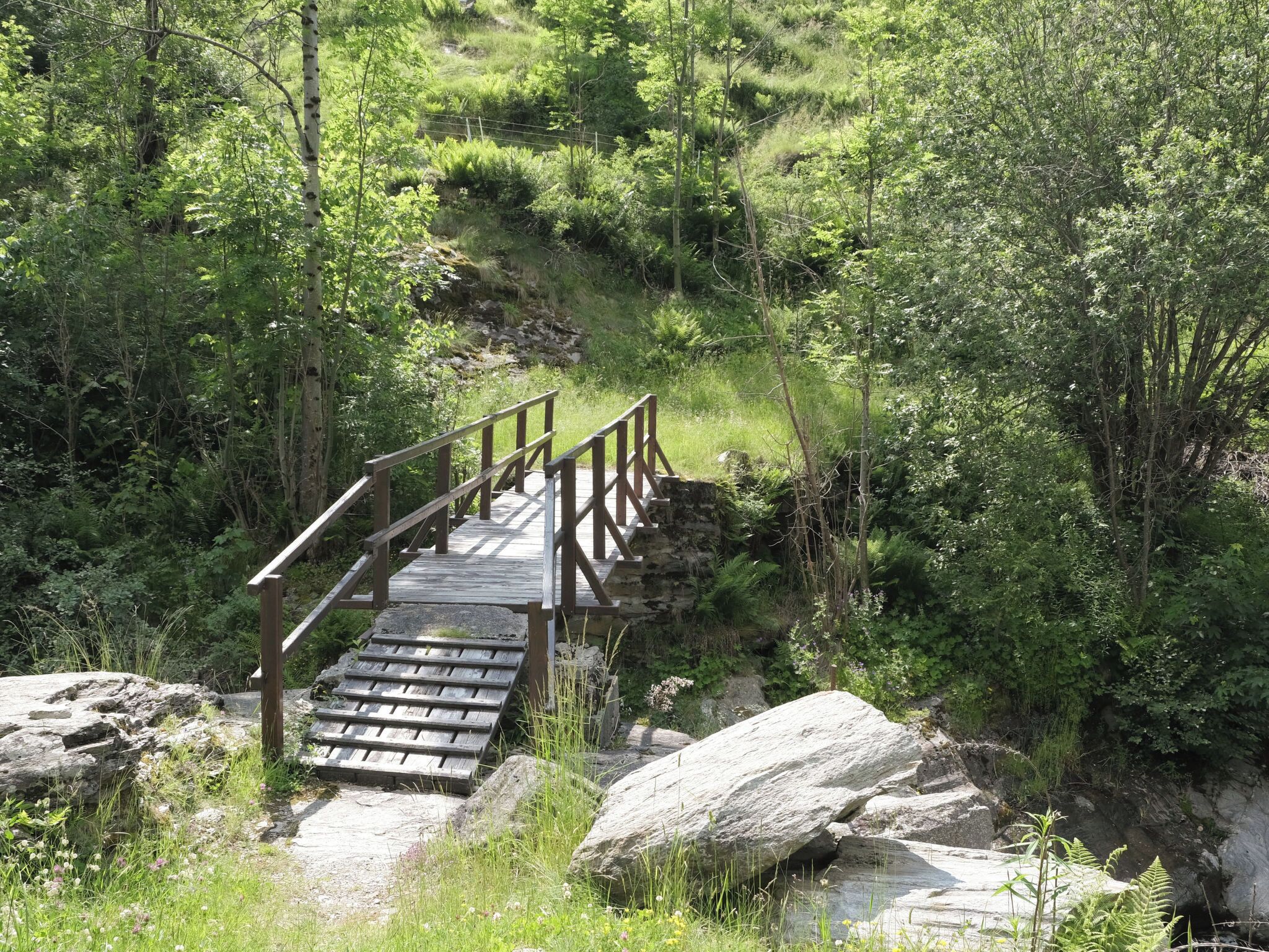 Un puente de madera con barandillas sobre un sendero rocoso en un área boscosa.