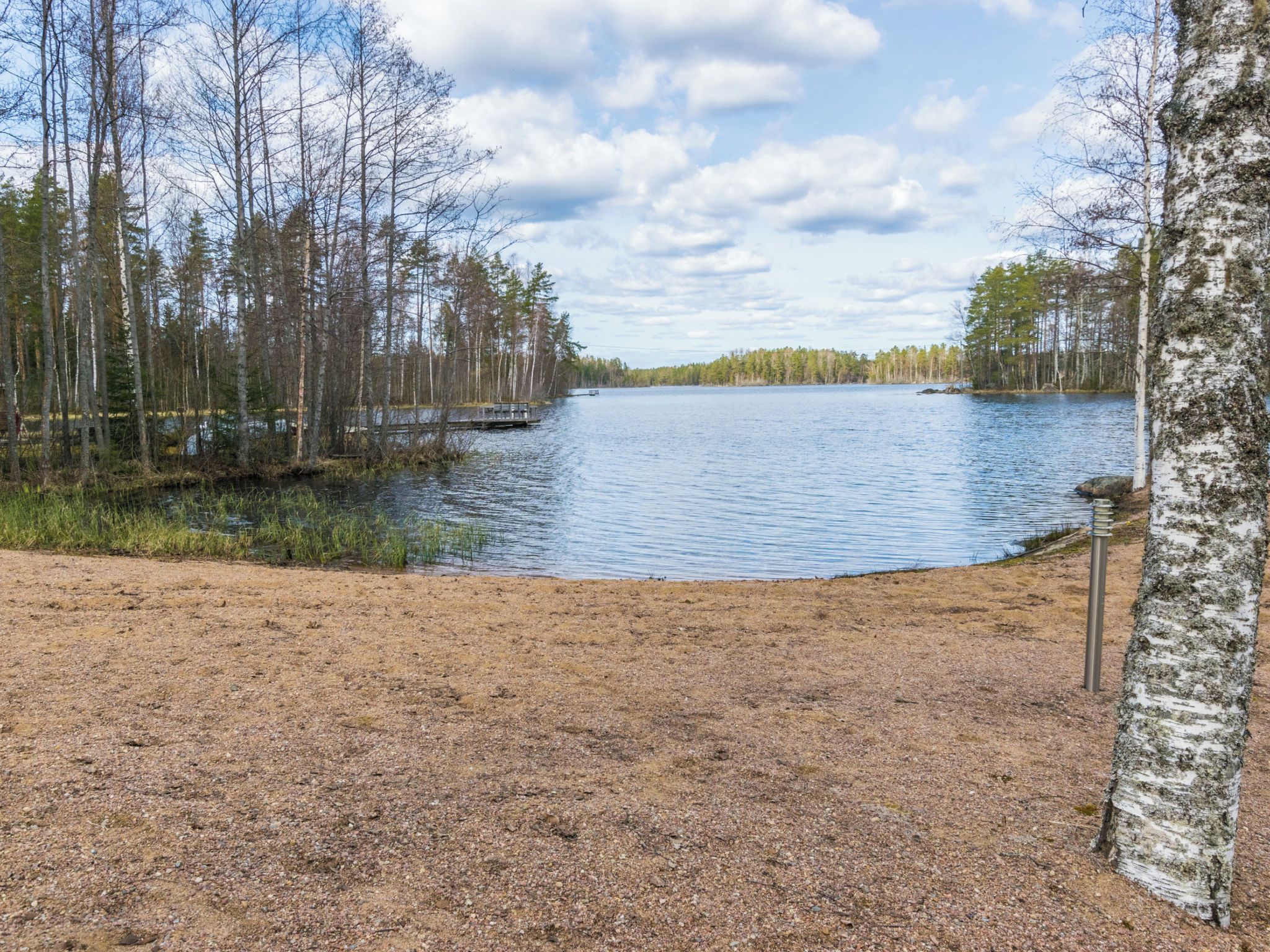 A lakeside view with a sandy beach, dense trees, and a calm water body.