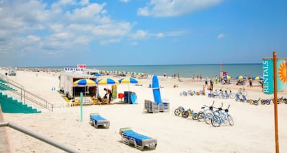 Rare Find, Ocean across street, Ample Parking, Restaurants, Murals in Home!