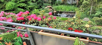 Ferienwohnung Schönwälder