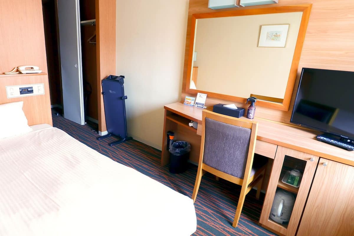 Habitación de hotel con cama, escritorio con silla, televisor, espejo, armario y un cubo de basura pequeño.